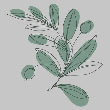 Mediterranea