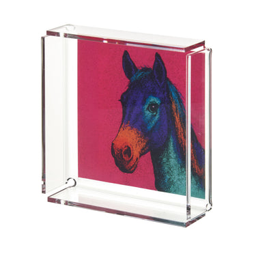 Svuota tasche Cash CAVALLO